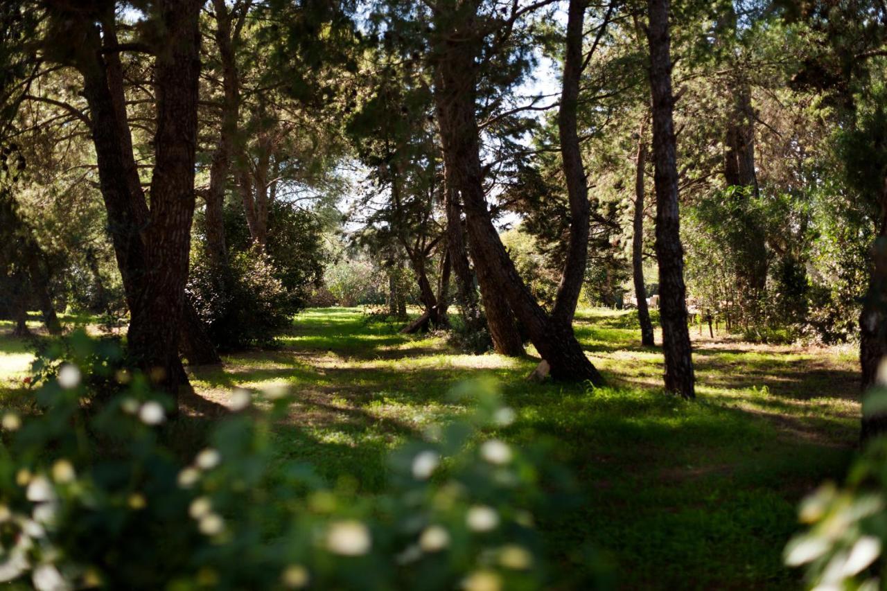 Masseria Borgo Mortella Лечче Экстерьер фото