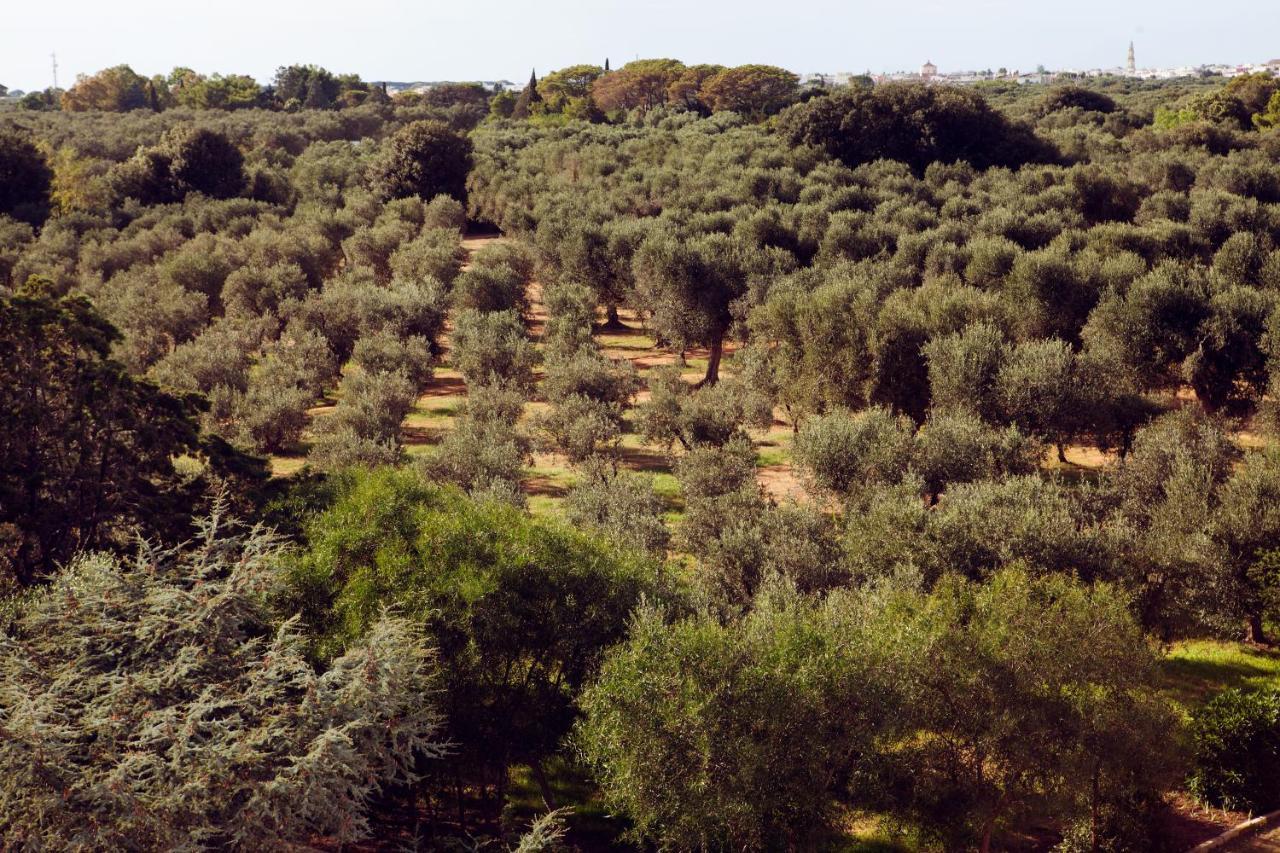 Masseria Borgo Mortella Лечче Экстерьер фото